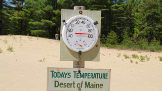 The Desert of Maine, A Mysterious Goat Murder, and, of Course, Tucker Carlson